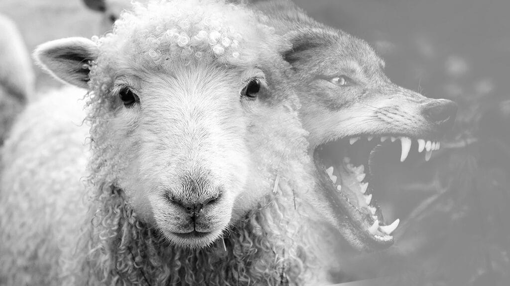 Wolf in sheeps clothing